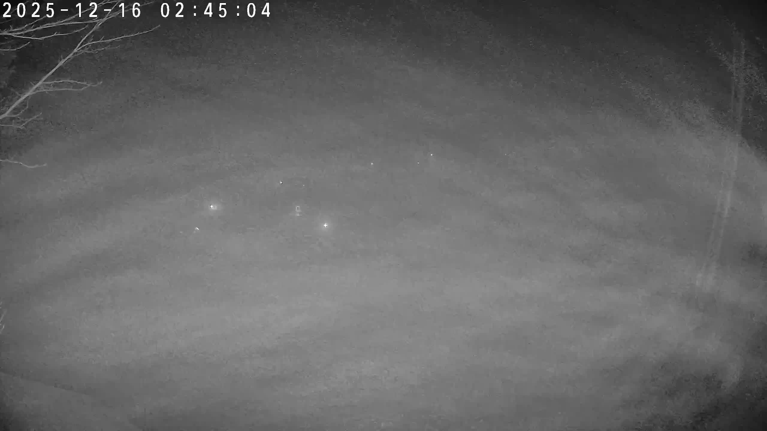 Webkamera - Dolní Dvůr - Ski Family