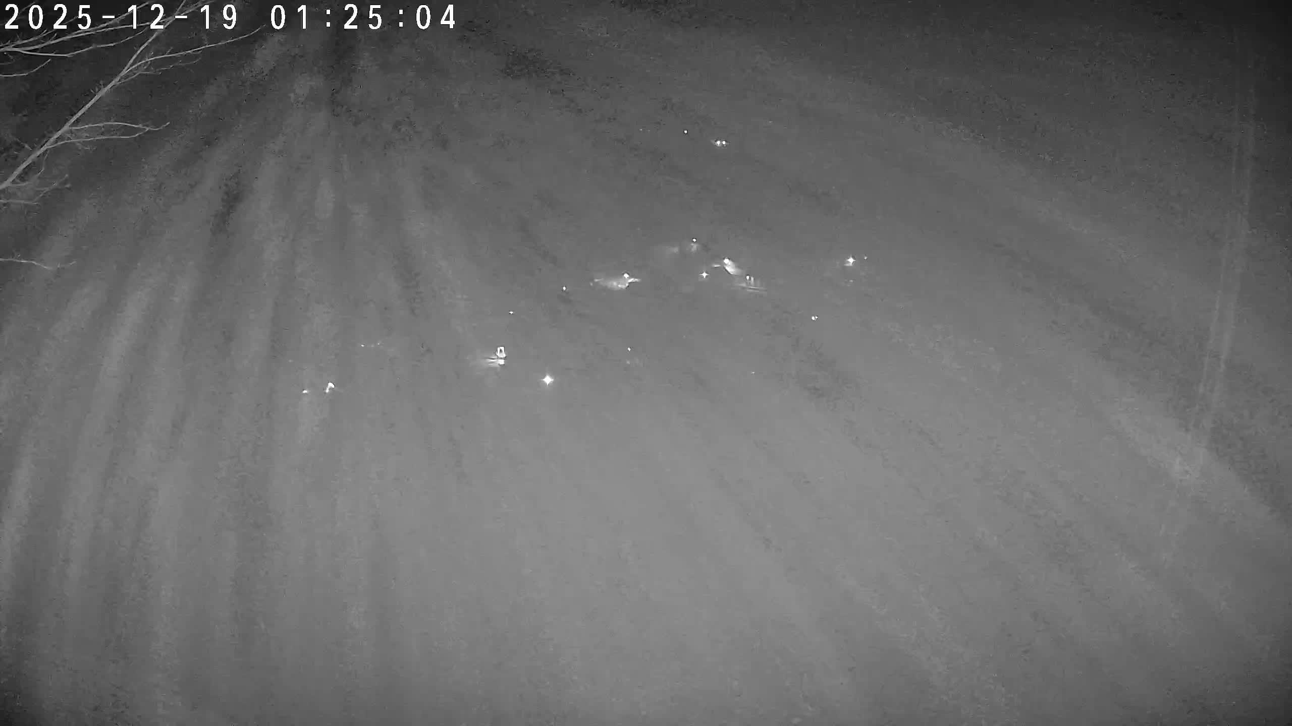 Webkamera - Dolní Dvůr - Ski Family