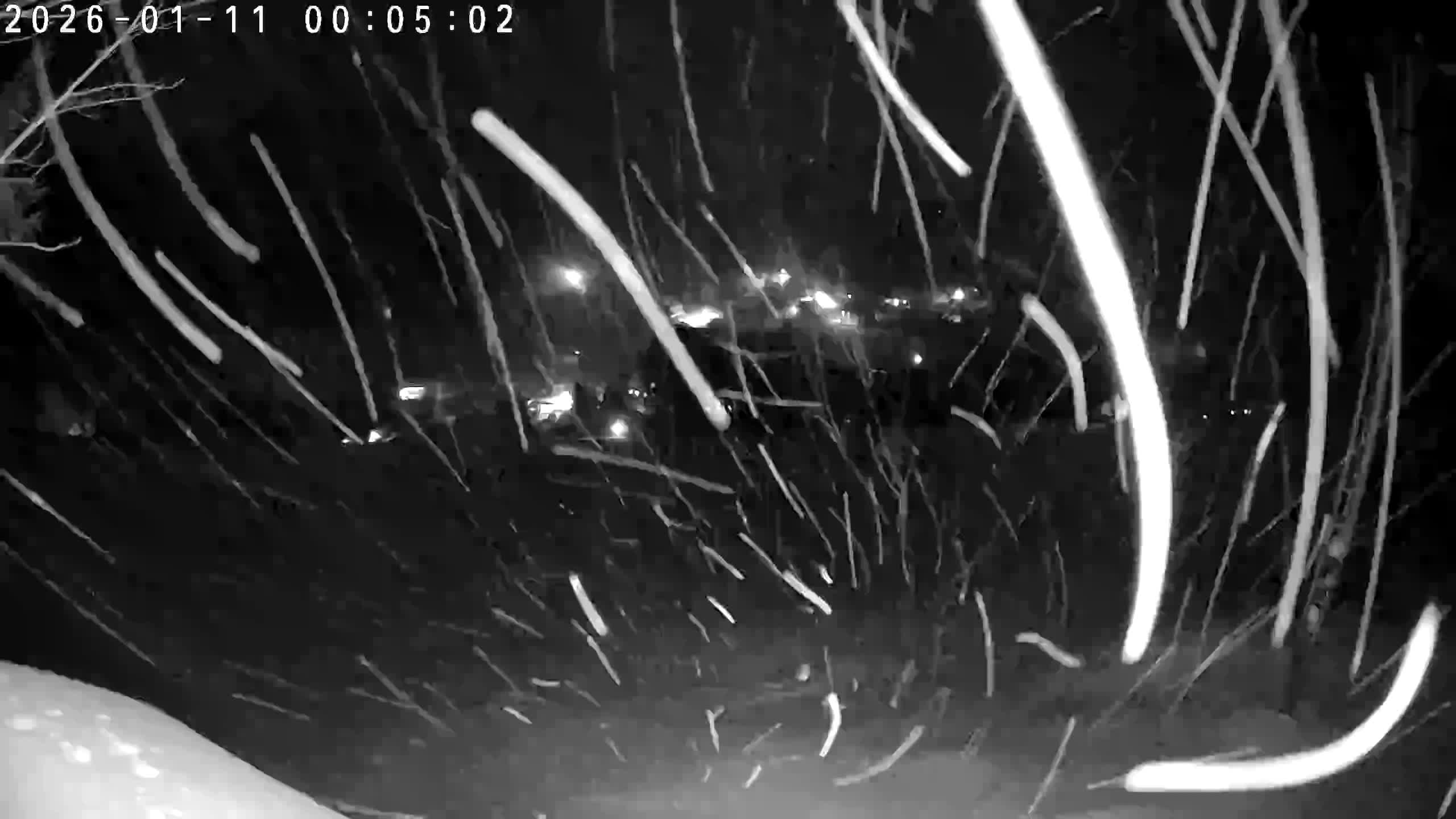 Webcam - Dolní Dvůr - Ski Family