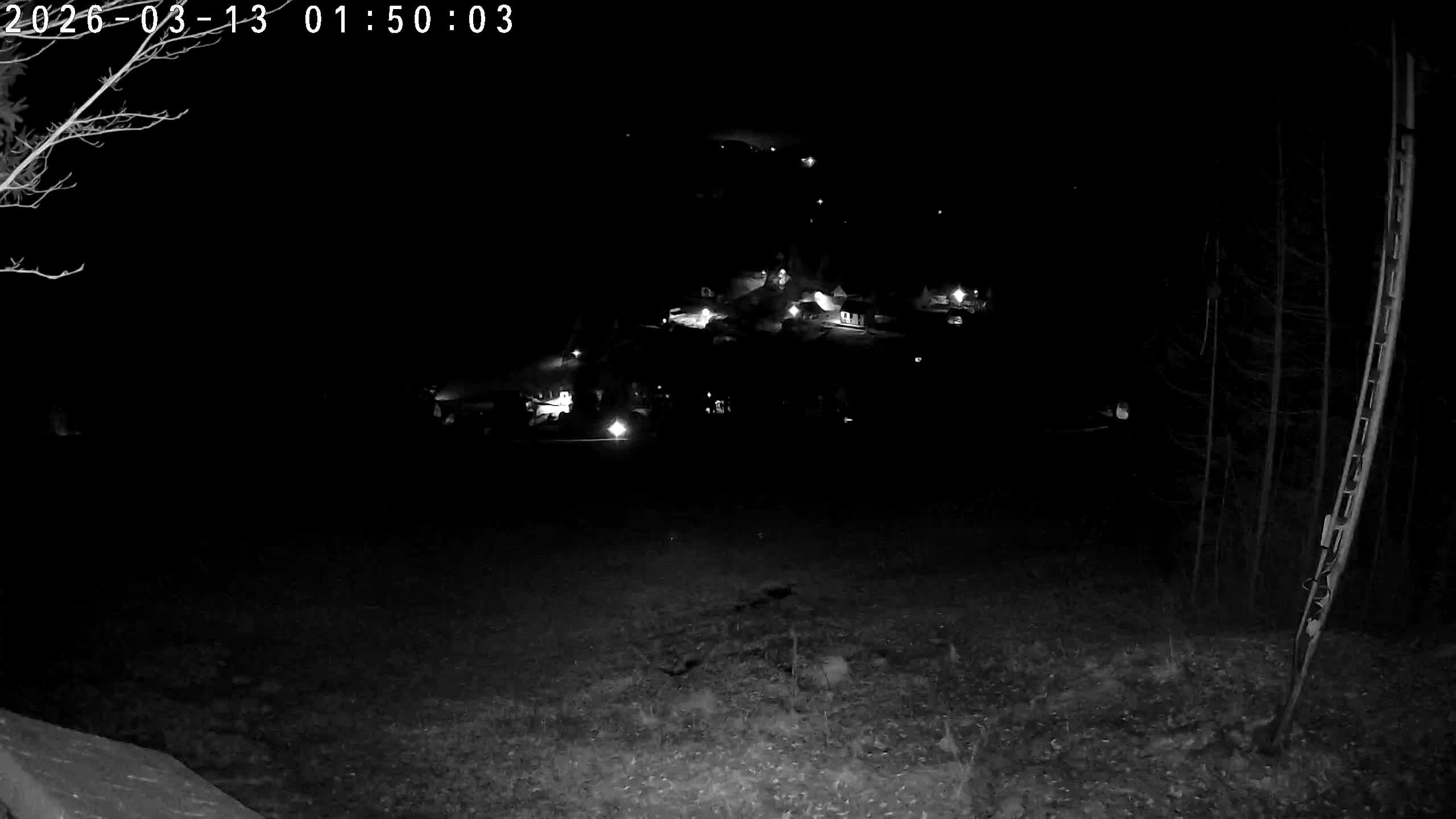 Webcam - Dolní Dvůr - Ski Family